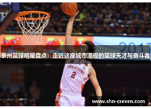 泰州篮球明星盘点:走近这座城市涌现的篮球天才与奋斗者