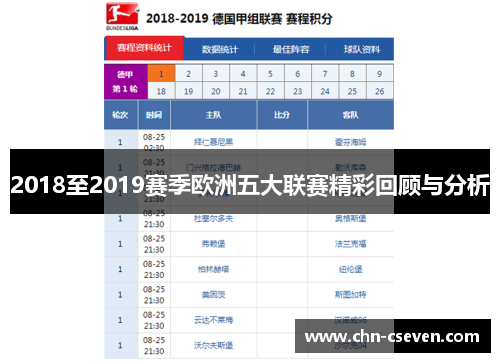 2018至2019赛季欧洲五大联赛精彩回顾与分析